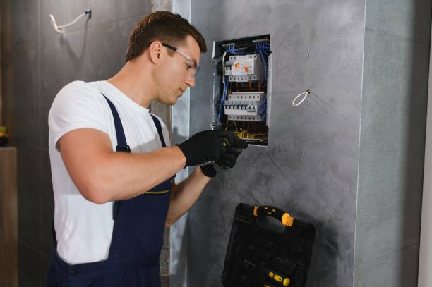 Best Electrical System Inspection  in Denmark, WI